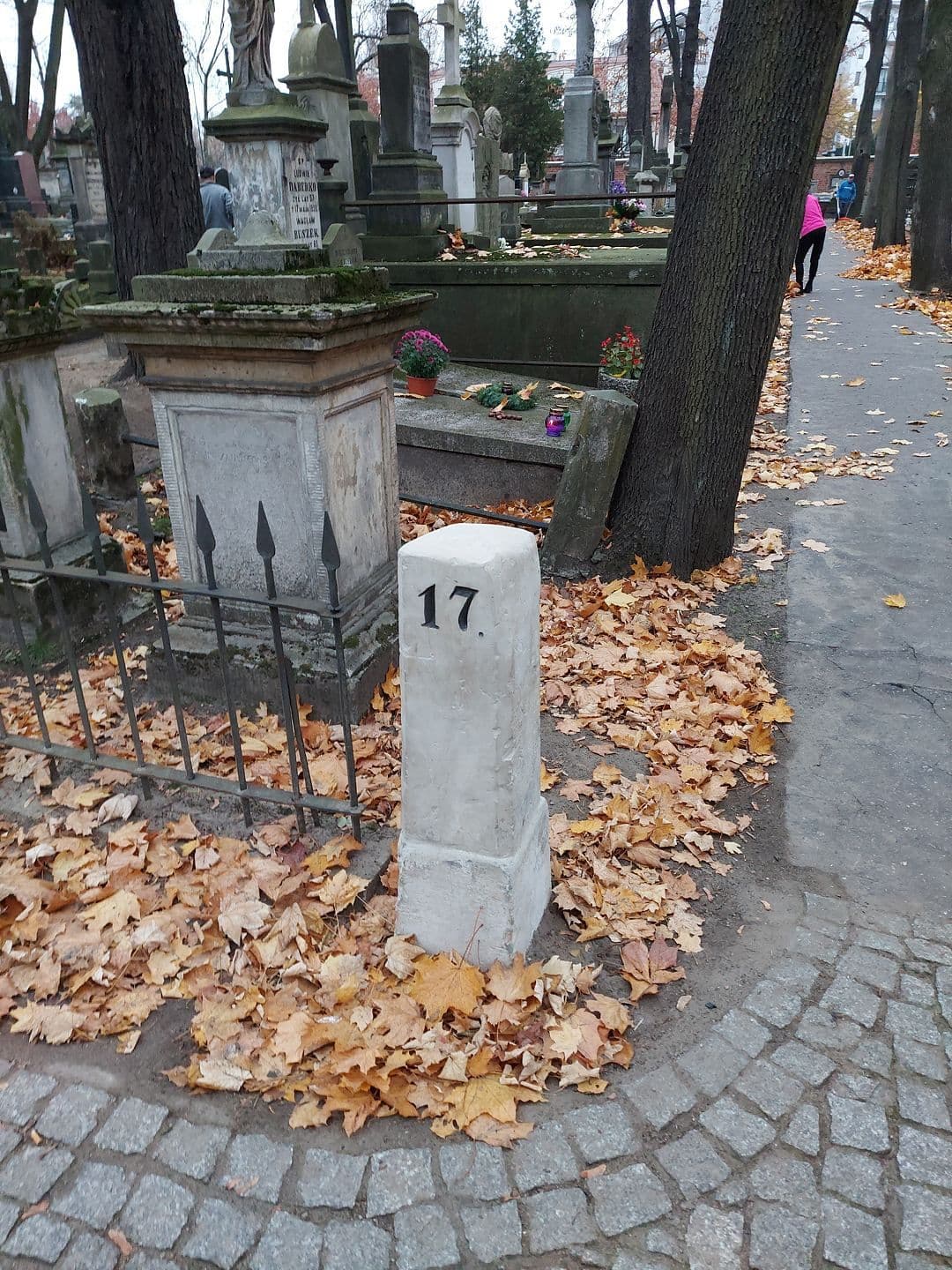 20211028_075843.jpg