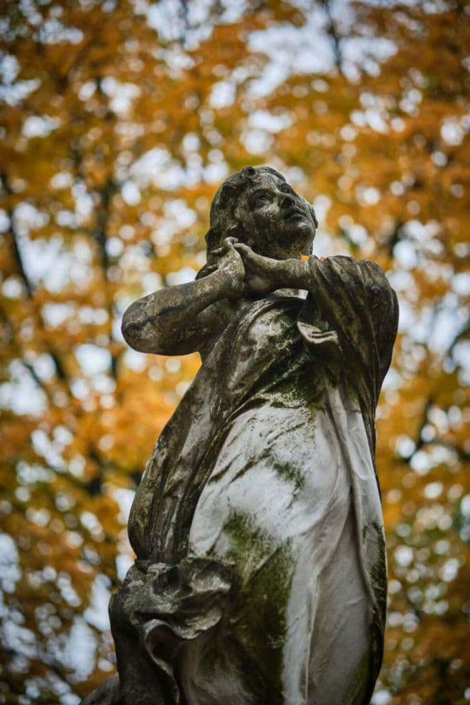 Lusia Raciborowska