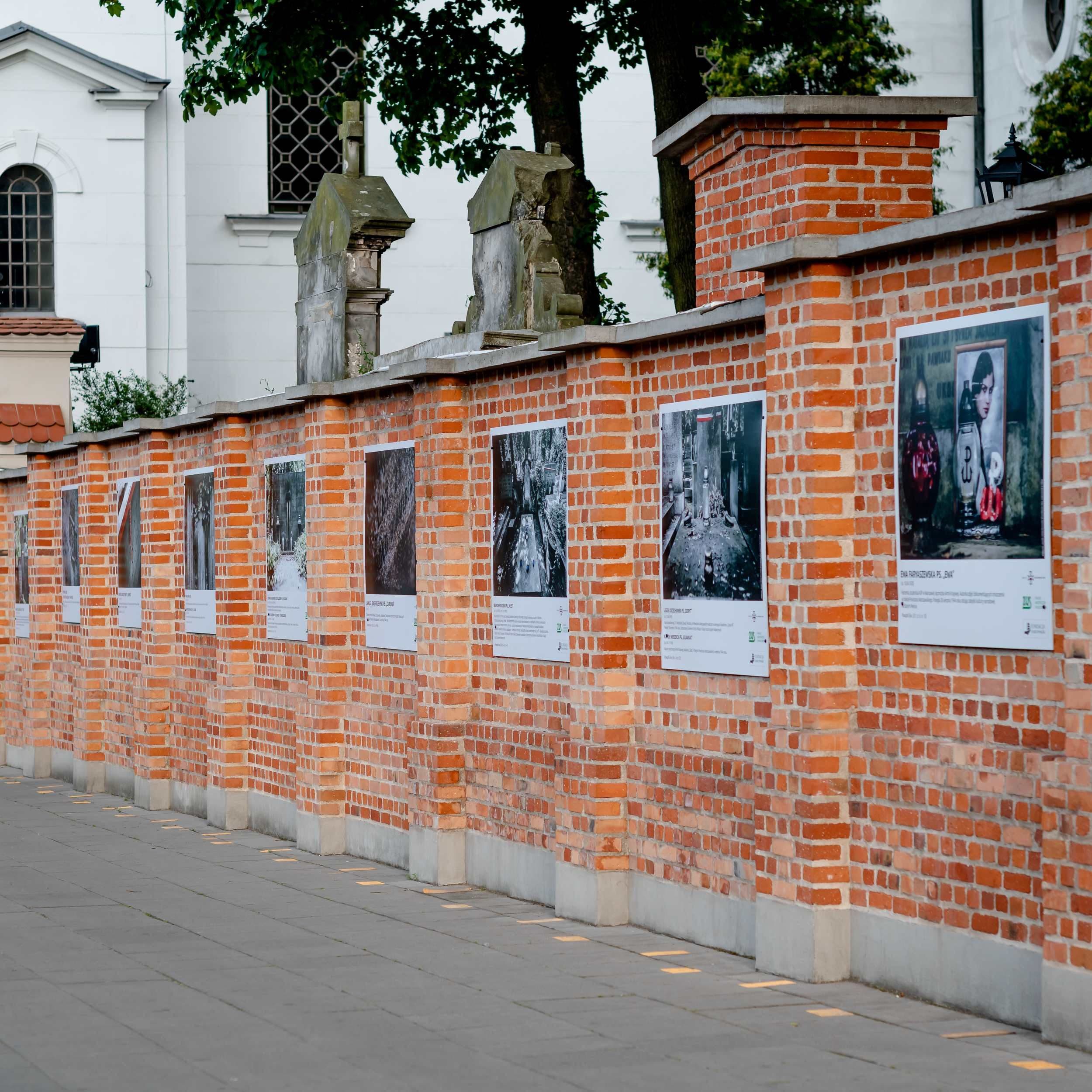 DSC_6483_ok-1.jpg