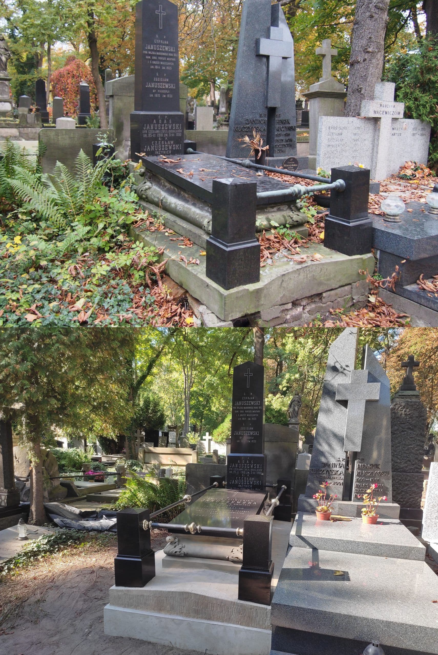 Januszewski-scaled.jpg