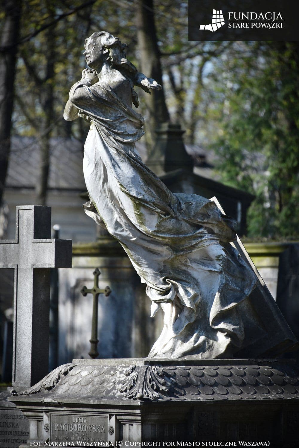 SRD_1903.jpg