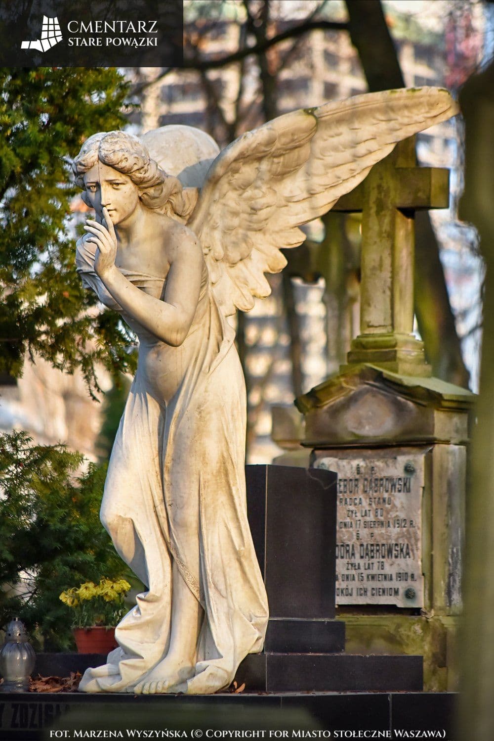 SRD_7537-1.jpg