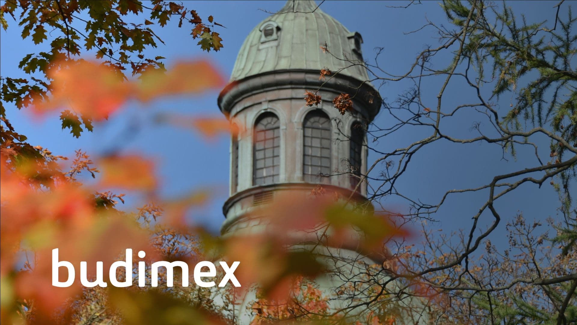 47-Budimex.jpg 47-Budimex.jpg