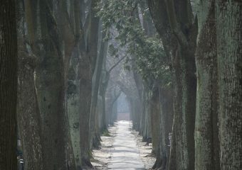 Modernizacja nawierzchni alejek oraz instalacja oświetlenia