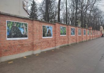 Kolejna wystawa na murze Starych Powązek.