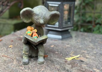 Zamykamy tegoroczny projekt Fundacji Stare Powązki dotyczący bezpłatnych lekcji na Starych Powązkach 🤍