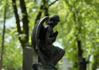 W ostatnich tygodniach Fundacja Stare Powązki miała przyjemnośćgościć pracowników Grupy PZU